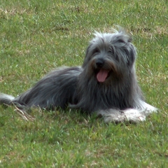06 Florian im März 2005